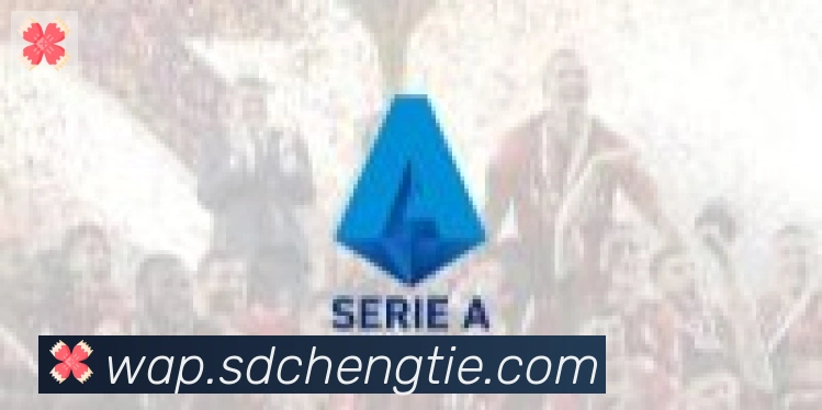 开云app合作伙伴