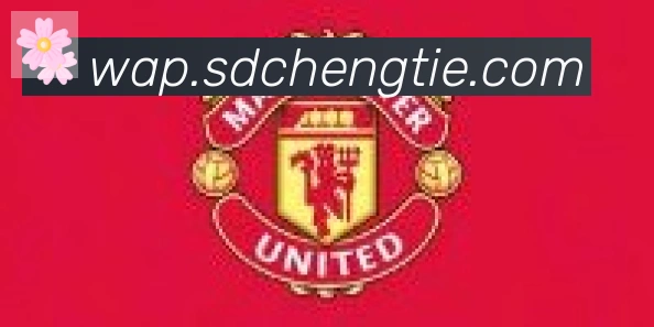 开云app合作伙伴