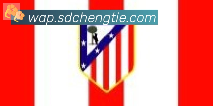 开云app合作伙伴