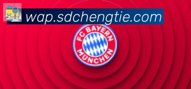 开云app合作伙伴